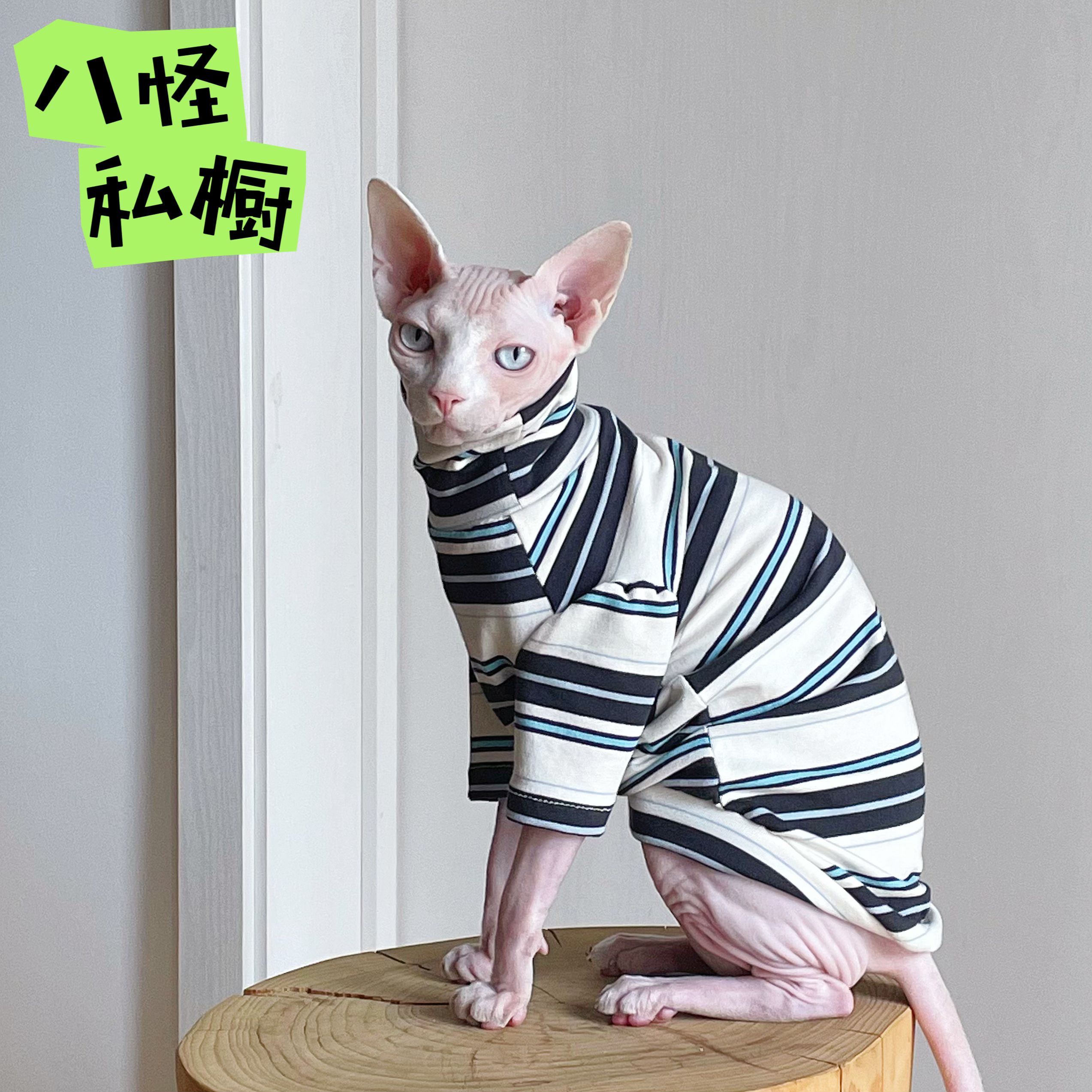 手工制作无毛猫德文猫初秋纯棉亲肤弹力透气条纹高领衫