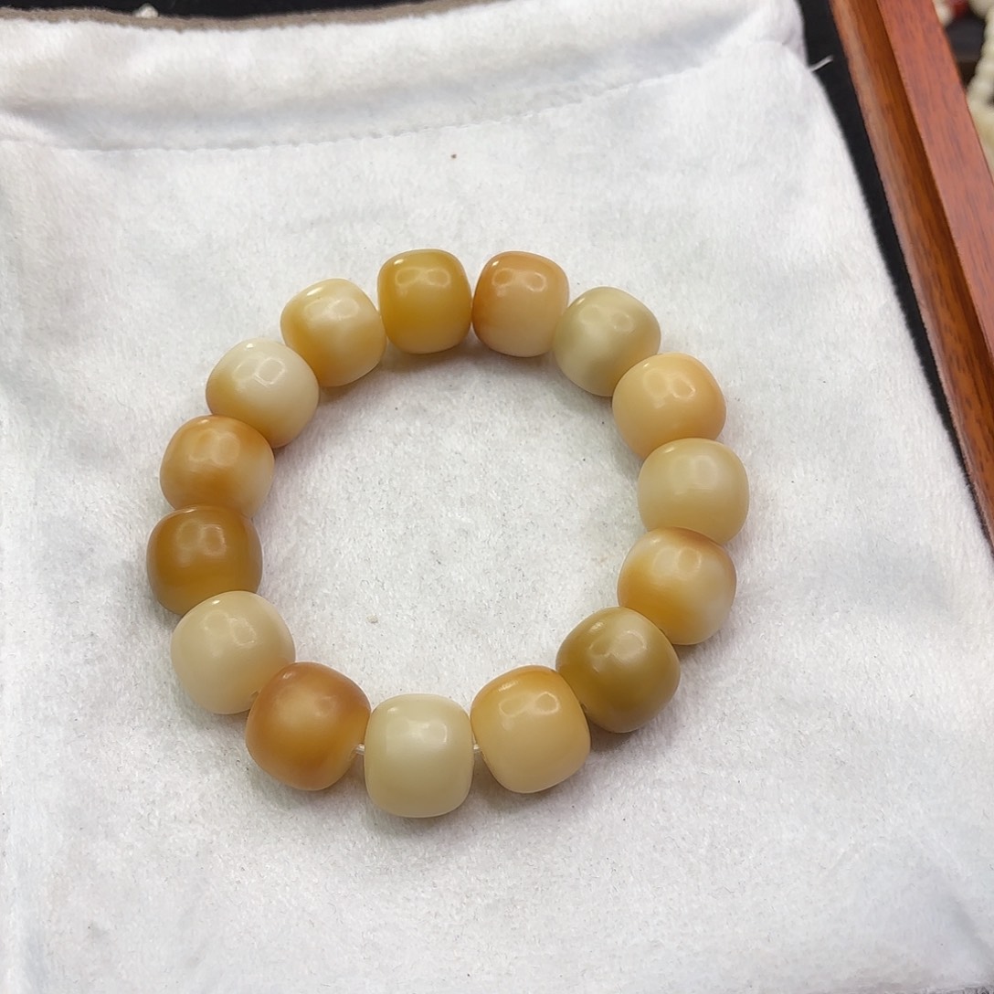 菩提根/象牙果手串熙****家菩提根