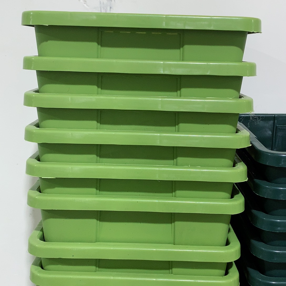 树脂方口22果绿6个无托