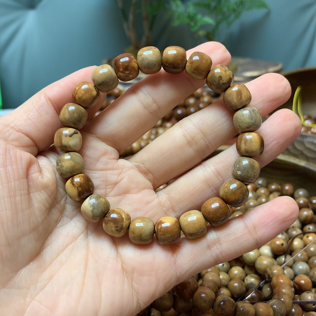 果皮日***。库克库克卡10老型妖花