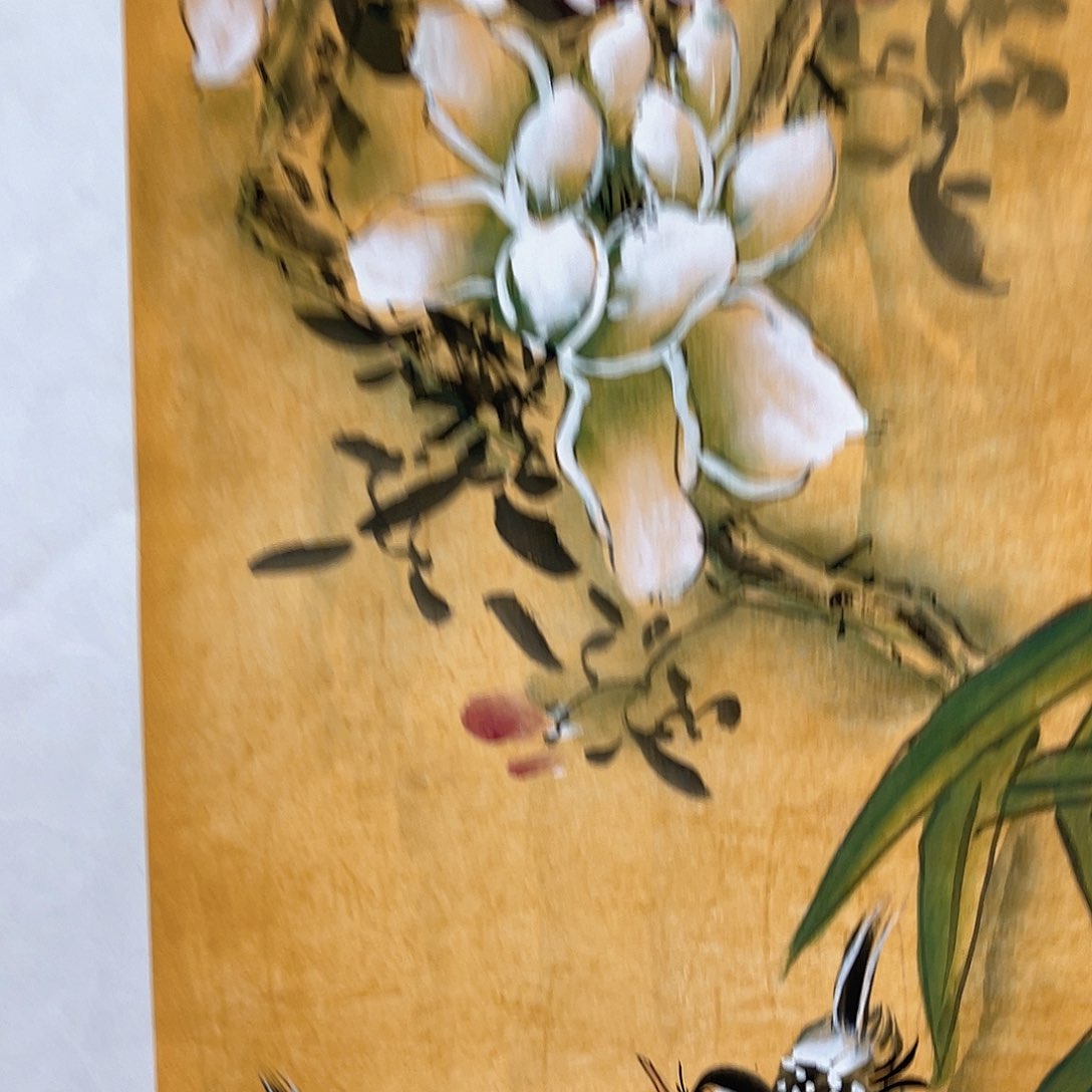 国画国画作品手绘国画