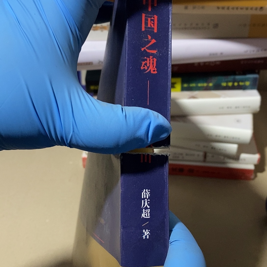 瑕疵打口  中国之魂……