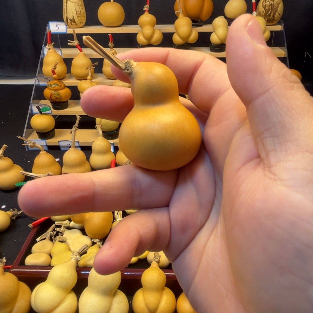 小***儿葫芦葫芦葫芦葫芦葫芦葫芦葫芦