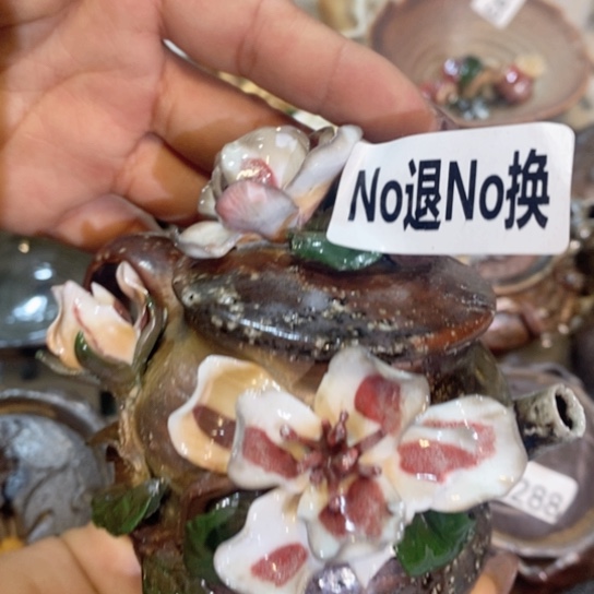 瑕疵福利多多啊哈哈哈哈哈