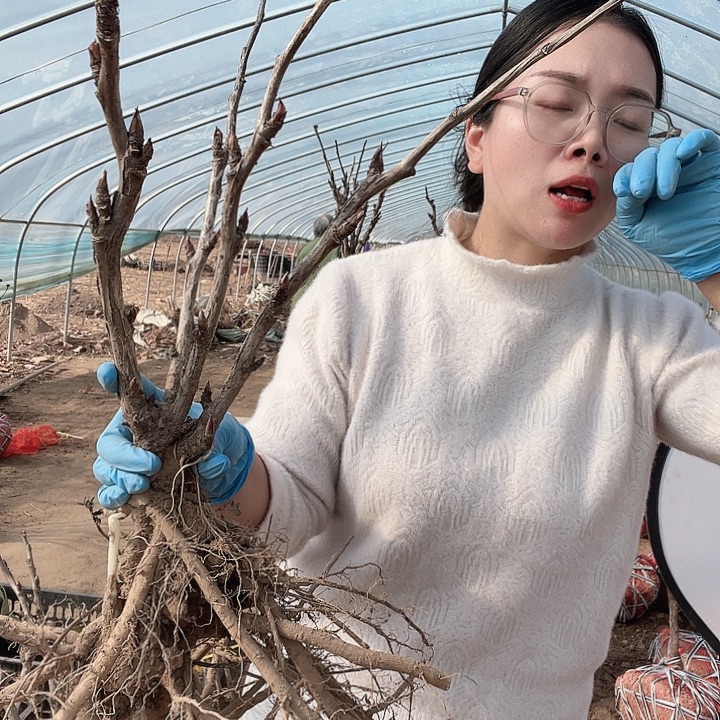 完全开放1111111111