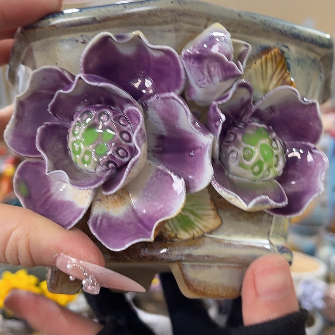 【闪购商品】红陶福利