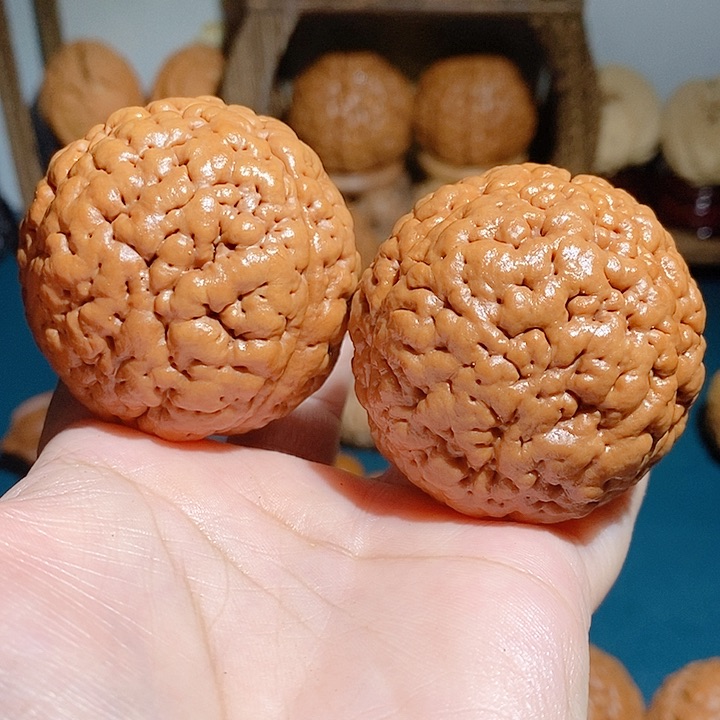 野生三瓣脑纹大金刚4850