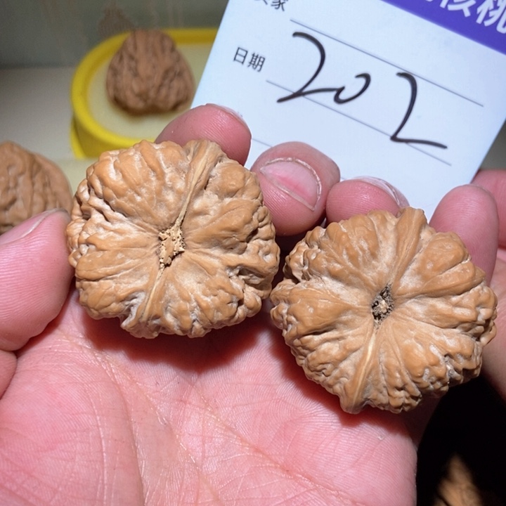 文玩核桃吊坠史**果蛤蟆