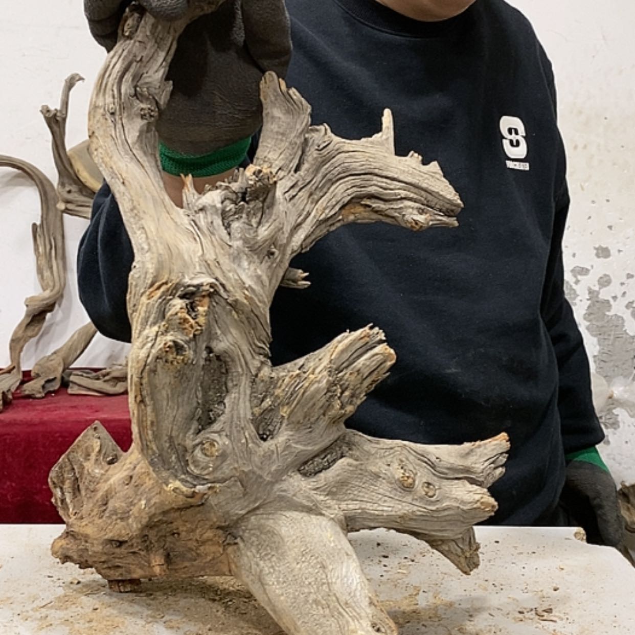 【闪购商品】柏木川****2我们都是好孩子