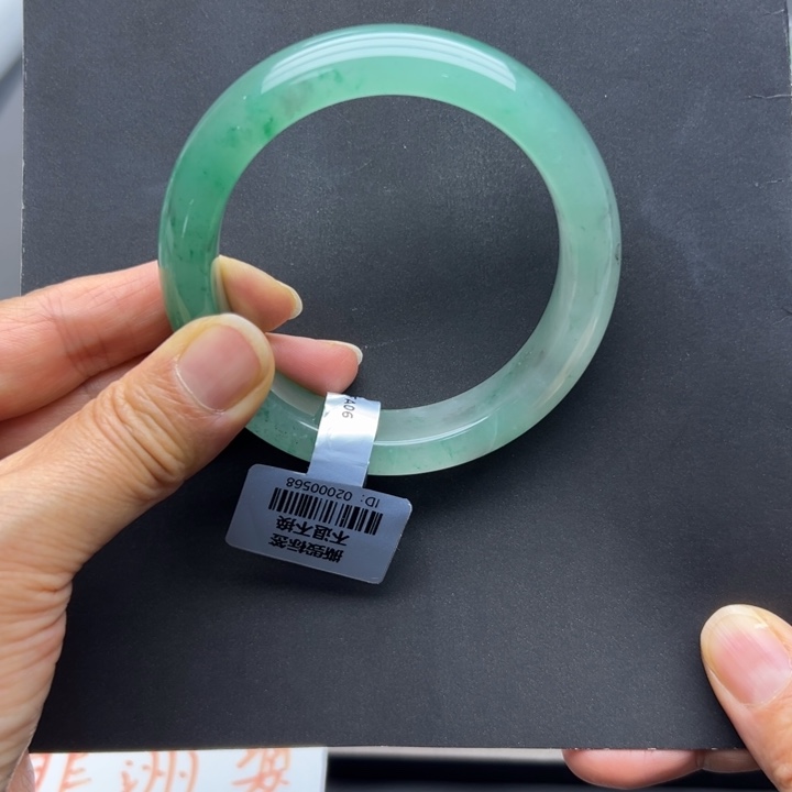 石英质玉未镶嵌手镯燕子➕59.6