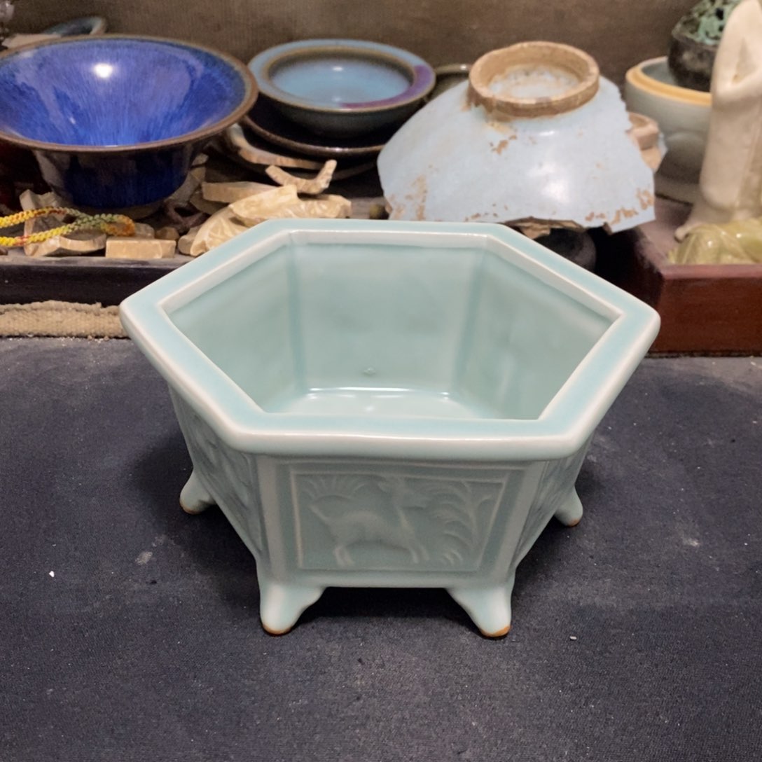 碟青**上1111111111111111111