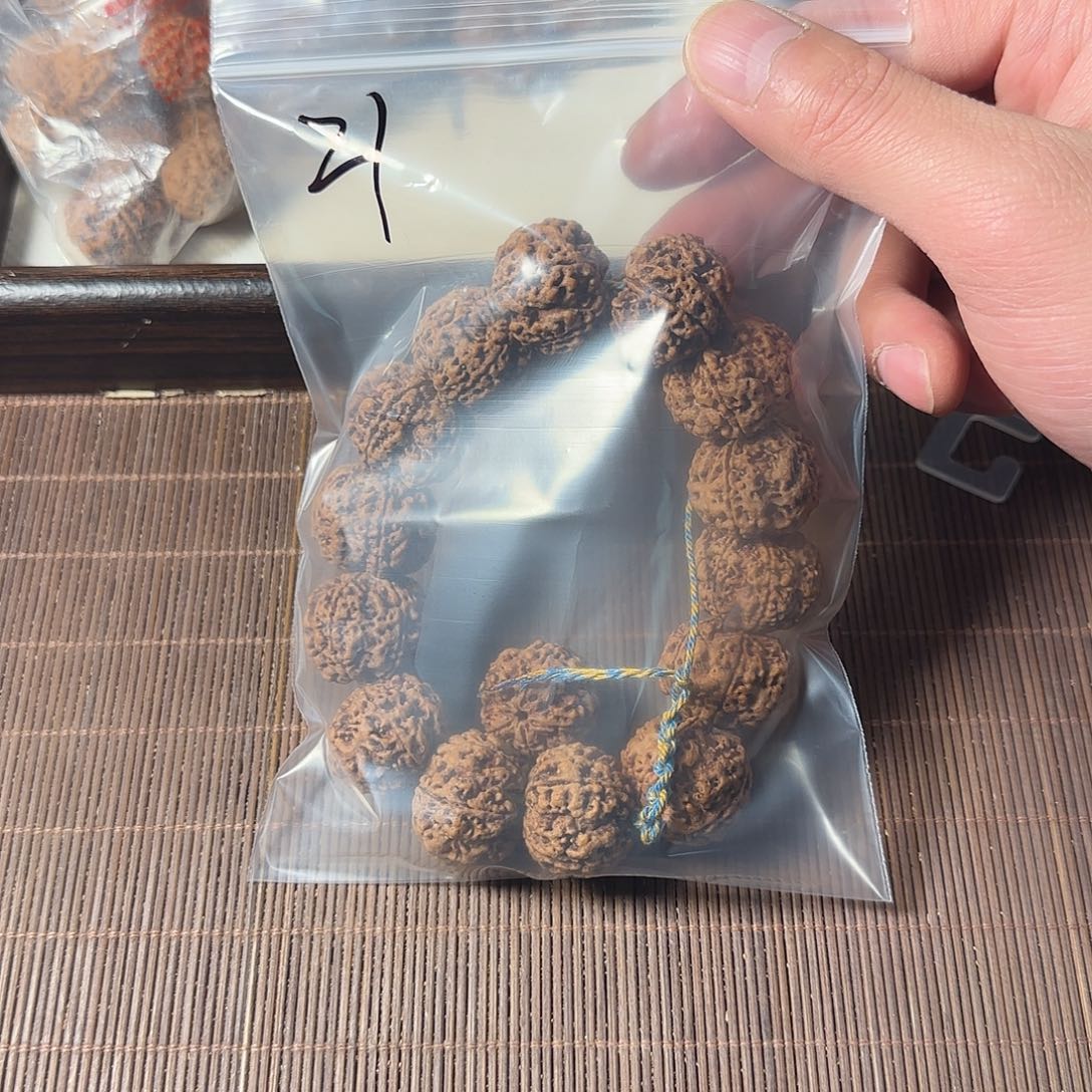 志***芳手串金刚菩提21号