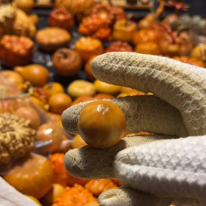 ?*西瓜球双色墨西哥葫芦