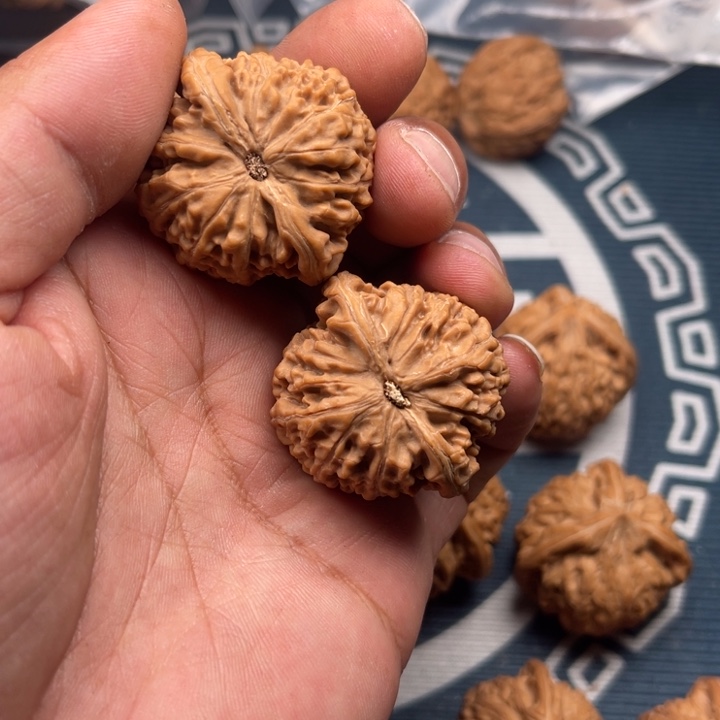 文玩核桃吊坠鹏*～黑金刚