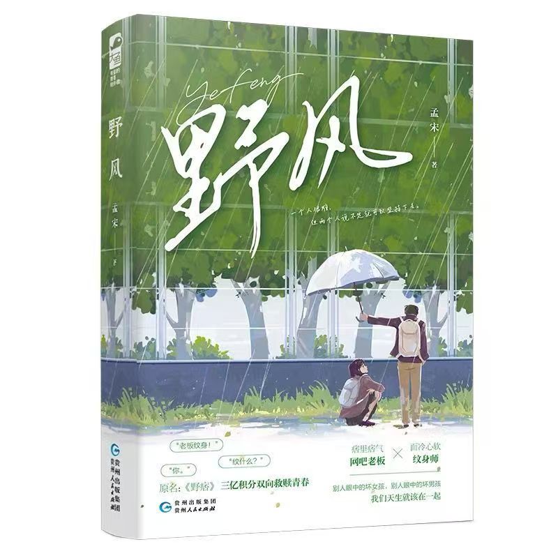 【文墨】默认微瑕 野风 孟宋作品 原名野痞 双向救赎的青春小说