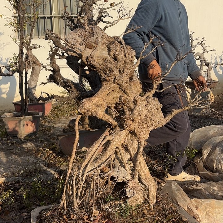 敏***无花朵哈哈哈哈哈哈