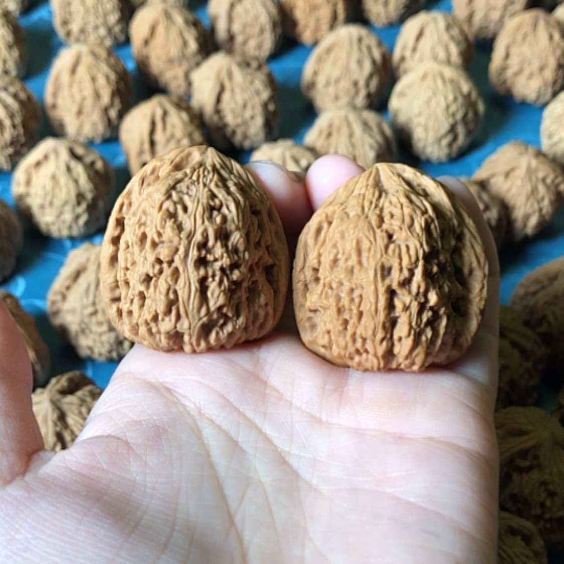 【闪购商品】文玩核桃把件一代将