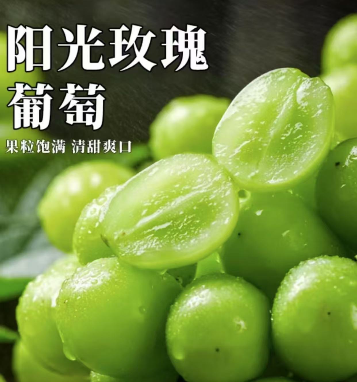 正宗云南阳光玫瑰新鲜采摘葡萄颗颗饱满新鲜水果香甜多汁