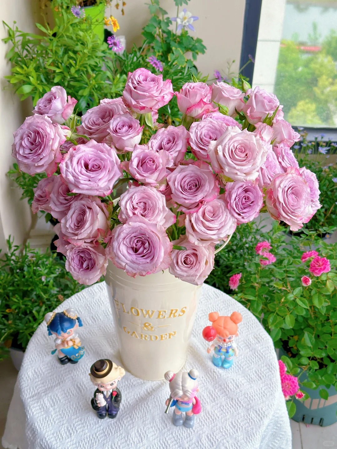 【气场多头】 一单包邮 紫色多头玫瑰 云南昆明斗南基地直发