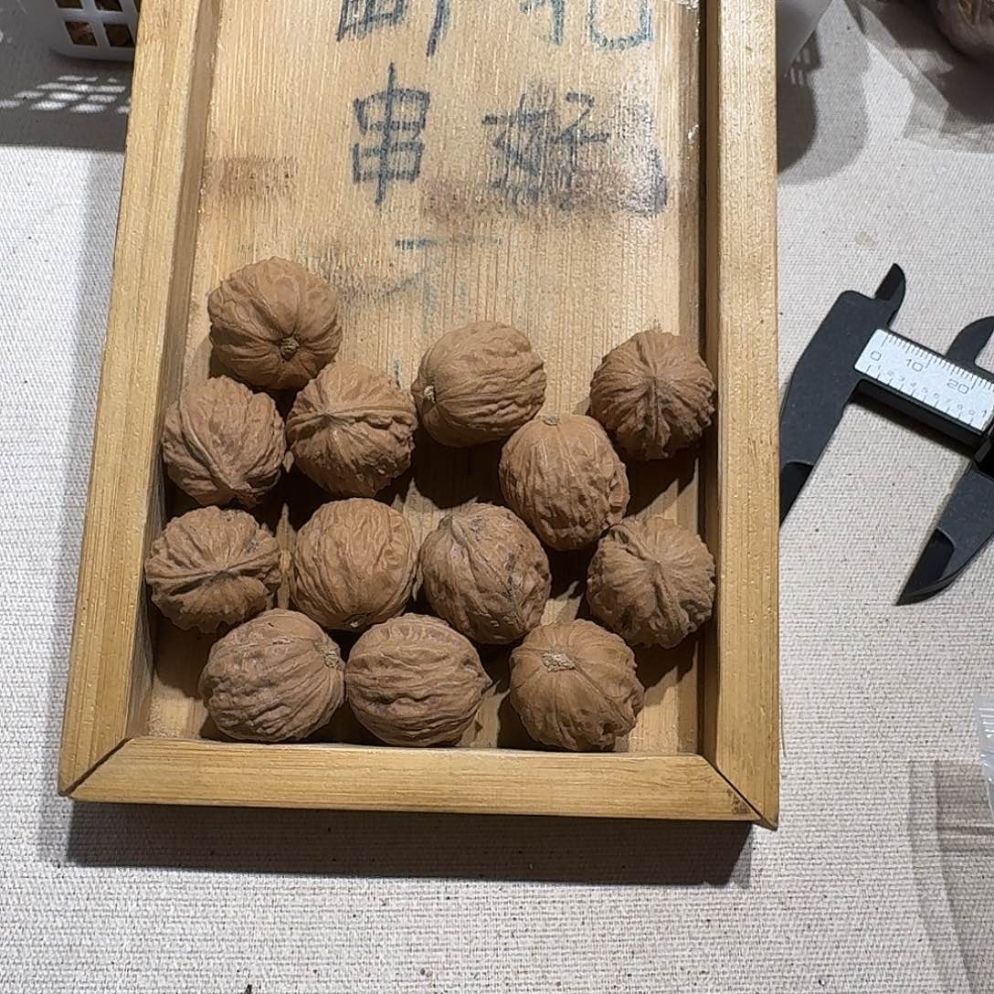 核桃手串/手链7号边21手串