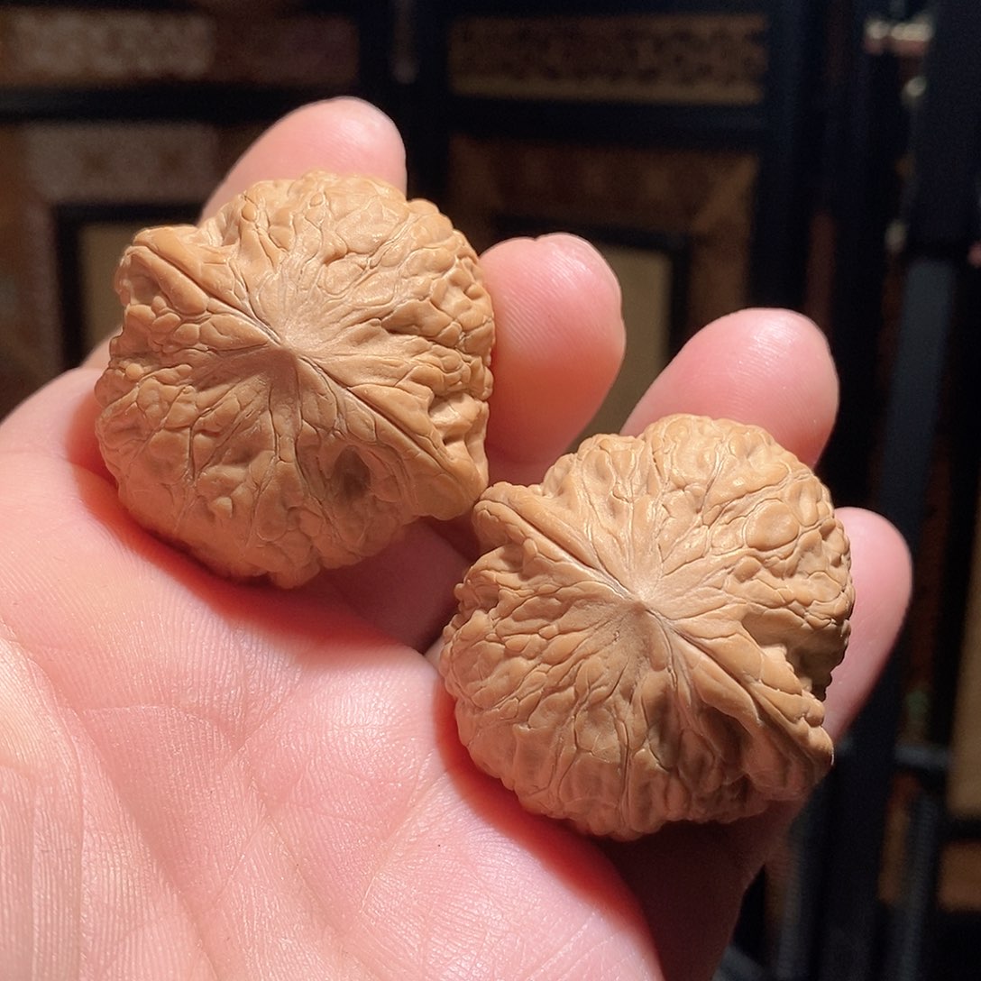 文玩核桃把件40铁锤全品