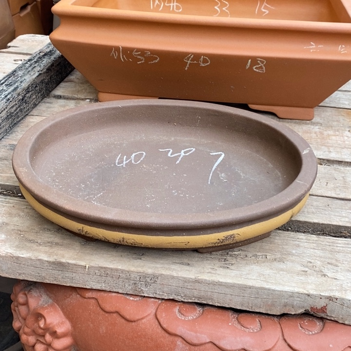 花盆紫砂只顾吃药