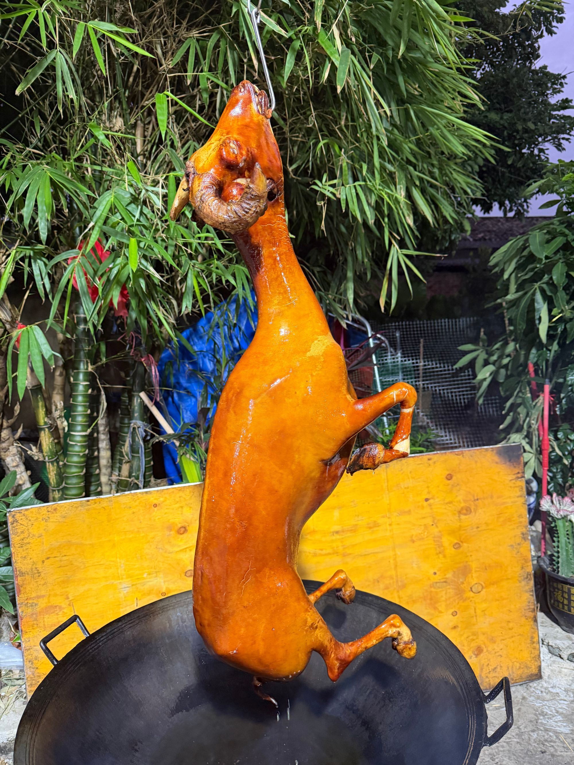 96蚊2斤发2.4斤，广西脆皮山羊鲜肉 现称现卖 配料包