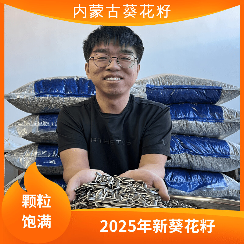 内蒙古大颗粒新鲜葵花籽产地直发2025年新货瓜子休闲零食