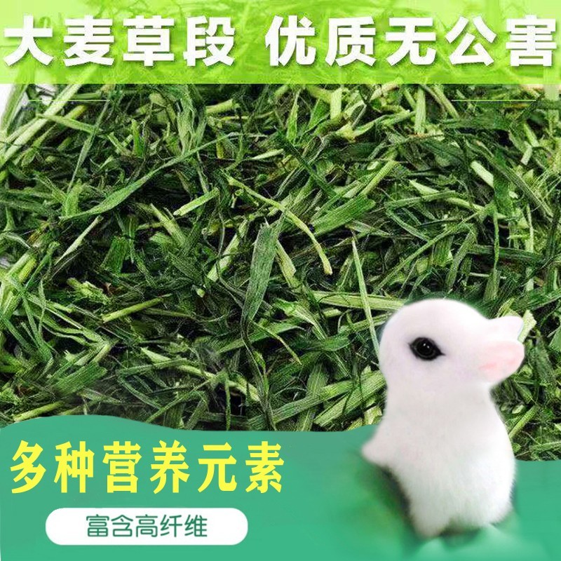 兔子大麦草段香脆可口适合兔子龙猫猪的草粮
