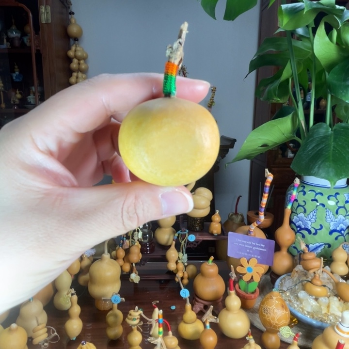 夹扁葫芦小栗子葫芦