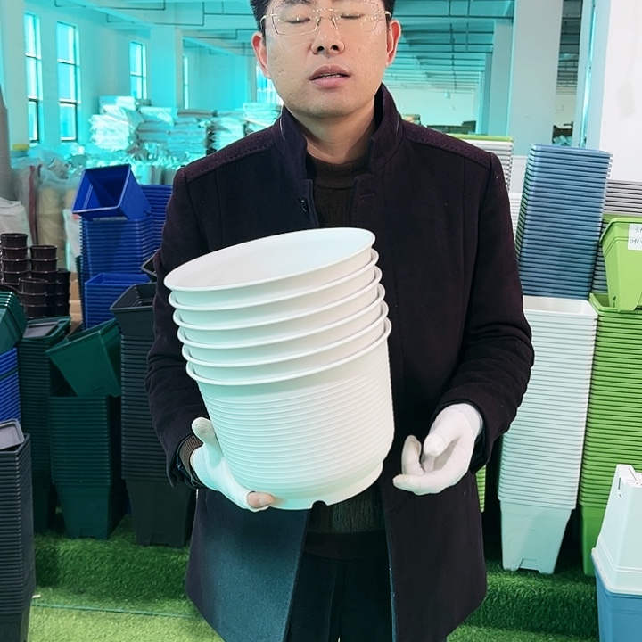 正品矮陶口24高17白色6只无托