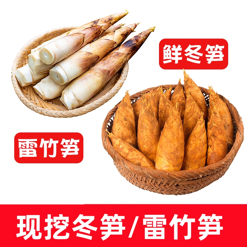 浙江新鲜冬笋雷竹笋春笋高山黄泥拱两头尖竹笋应季蔬菜h