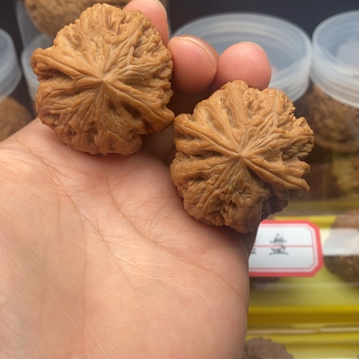 核桃麻核桃大粗筋40尺