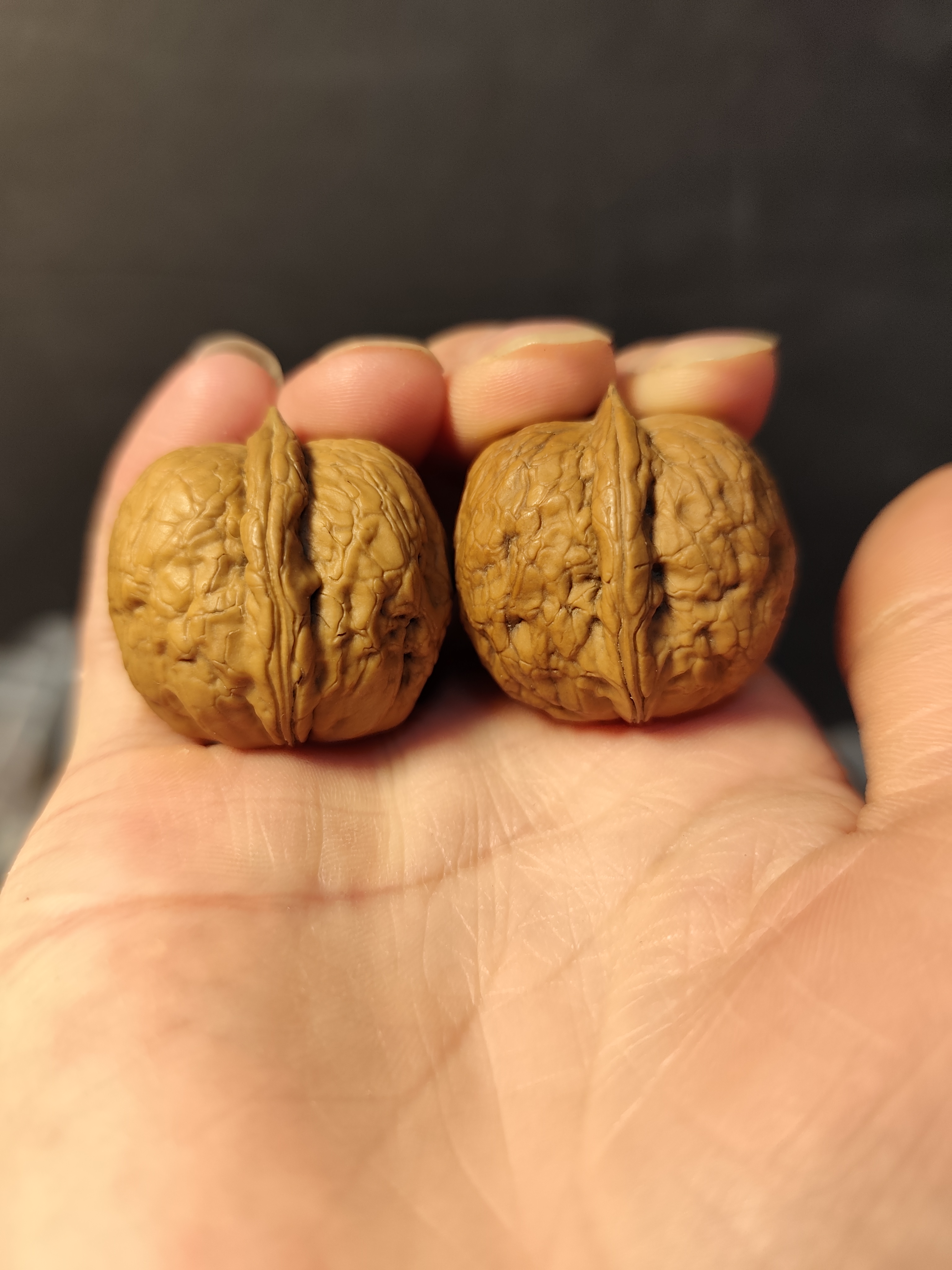 017号32云南铁核桃木氏蛇皮球手捻粗筋带阴皮