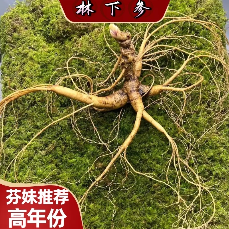 林下参原产地林下人参泡酒泡茶送礼长白山东北特产原产地林下籽参