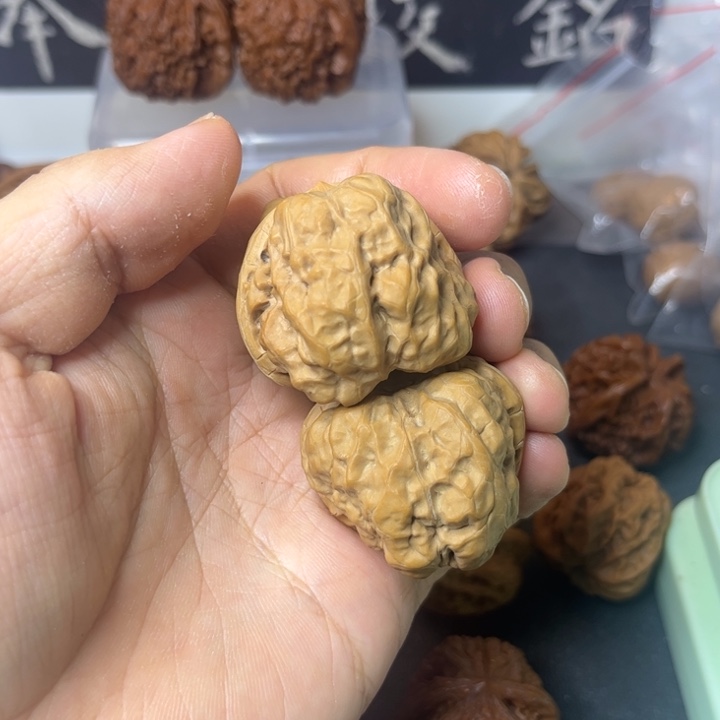 守正核堂，37蛤蟆头
