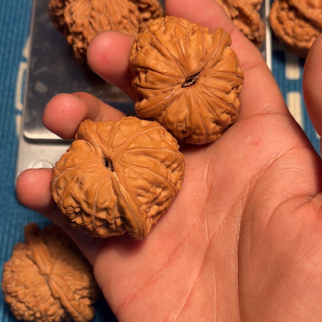 文玩核桃把件R****l核桃