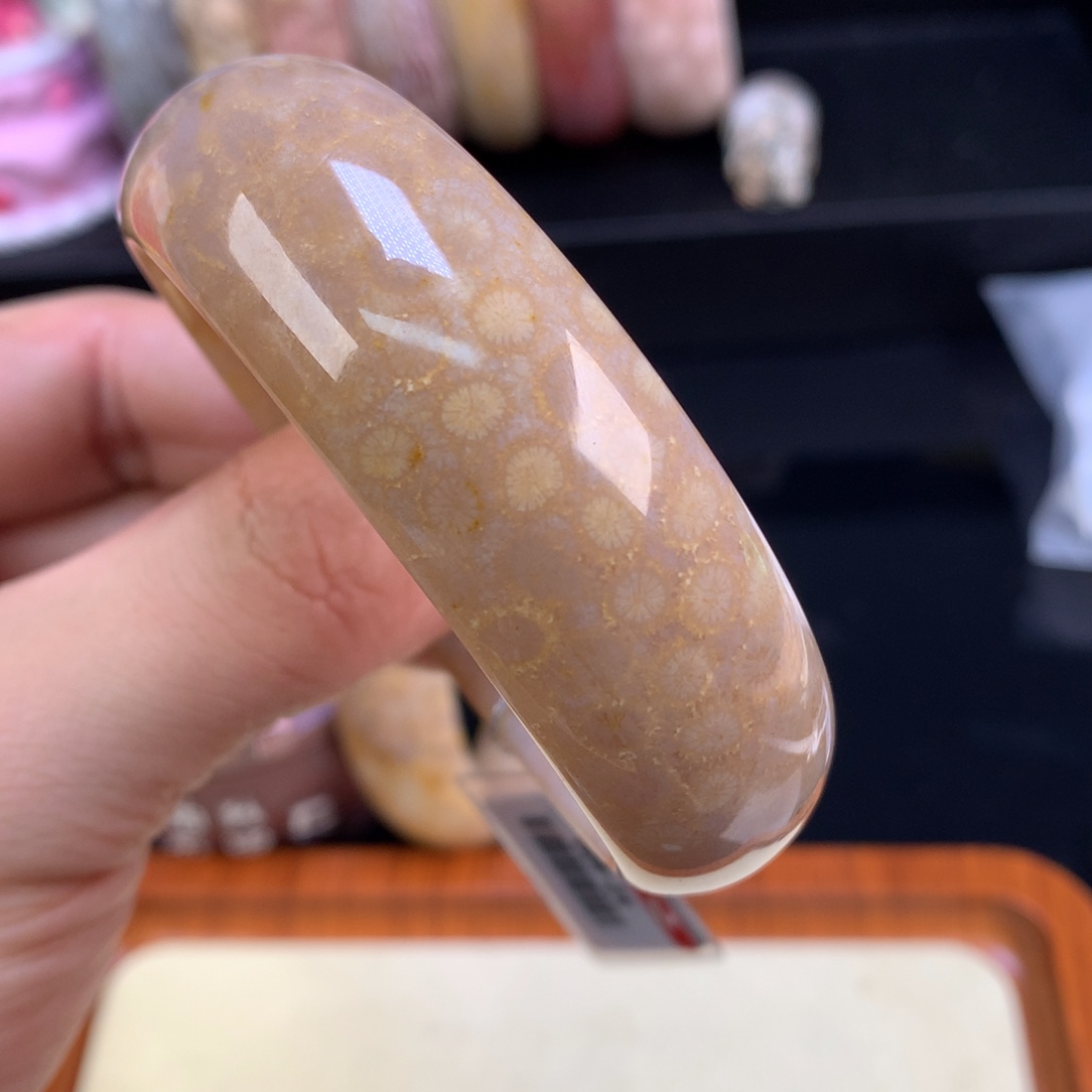 硅化珊瑚（珊瑚玉）未镶嵌颈饰119号57圈冰润