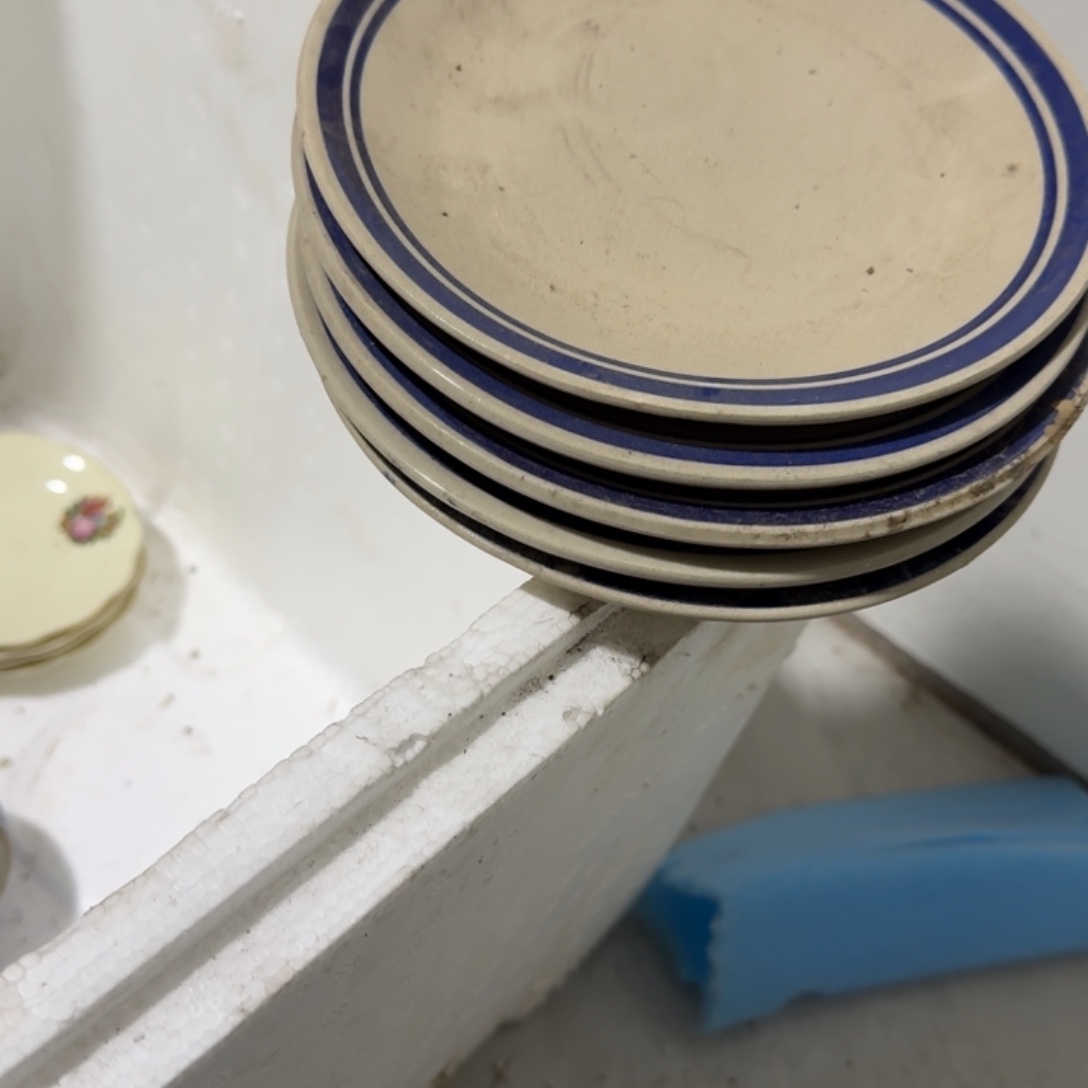 茶盏在这个充满生机又神秘美丽色彩