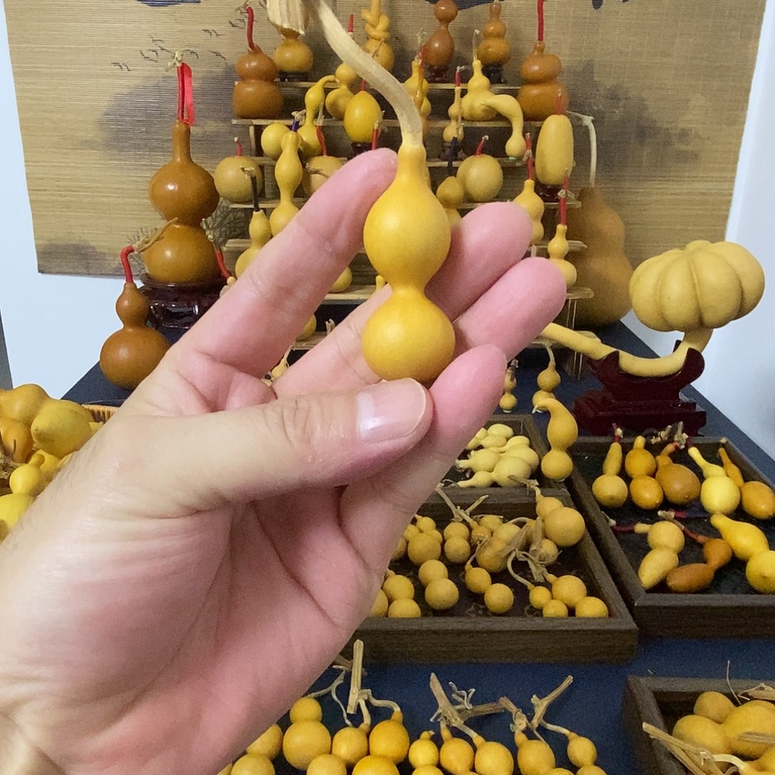 干***角大叶紫檀（黑酸枝木类）