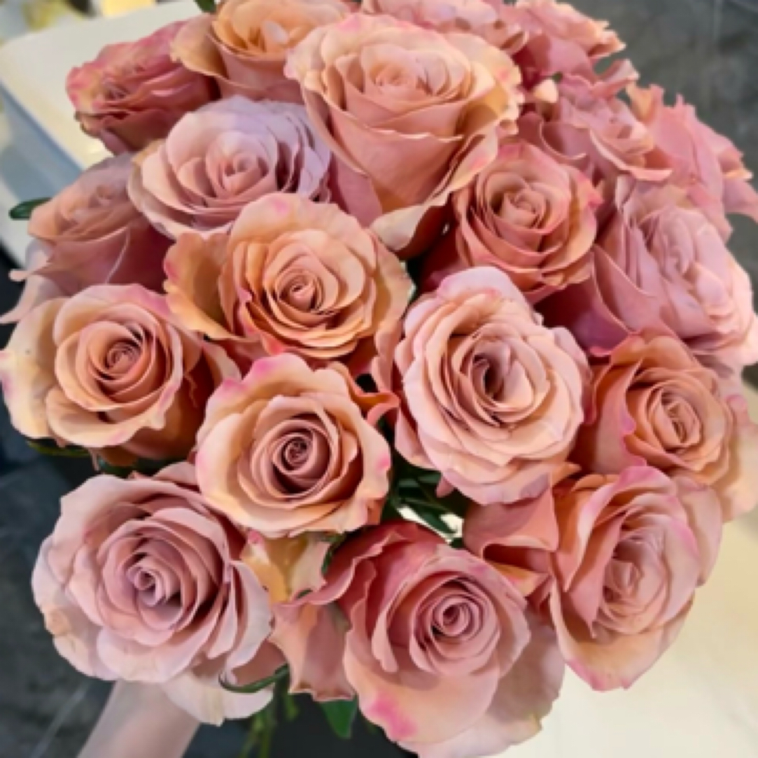 【只发新疆】莫泊玫瑰 16支（送4支损伤坏不赔付）