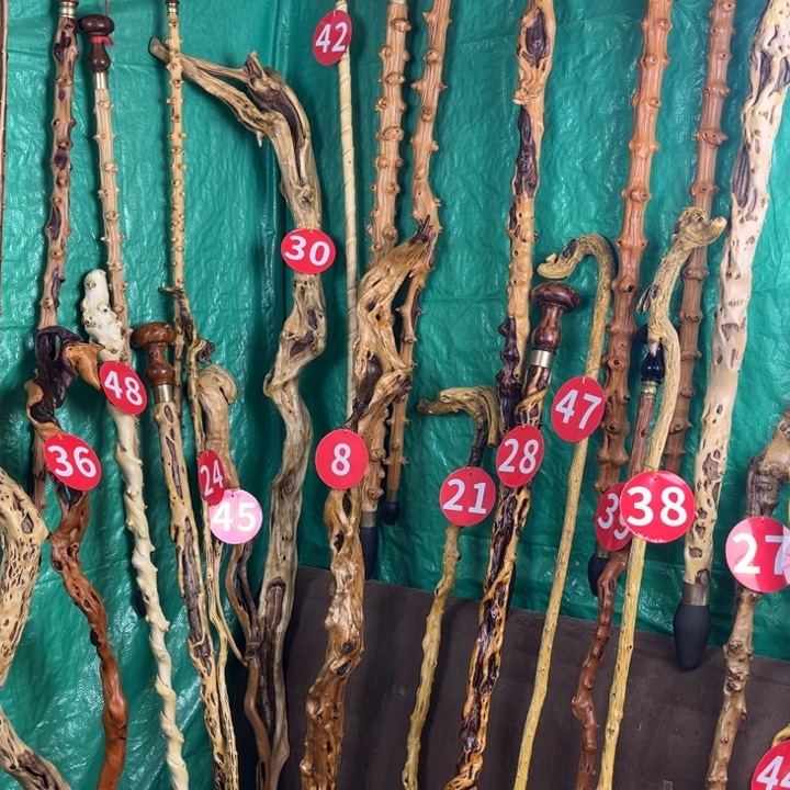 铁马鞭。      天然