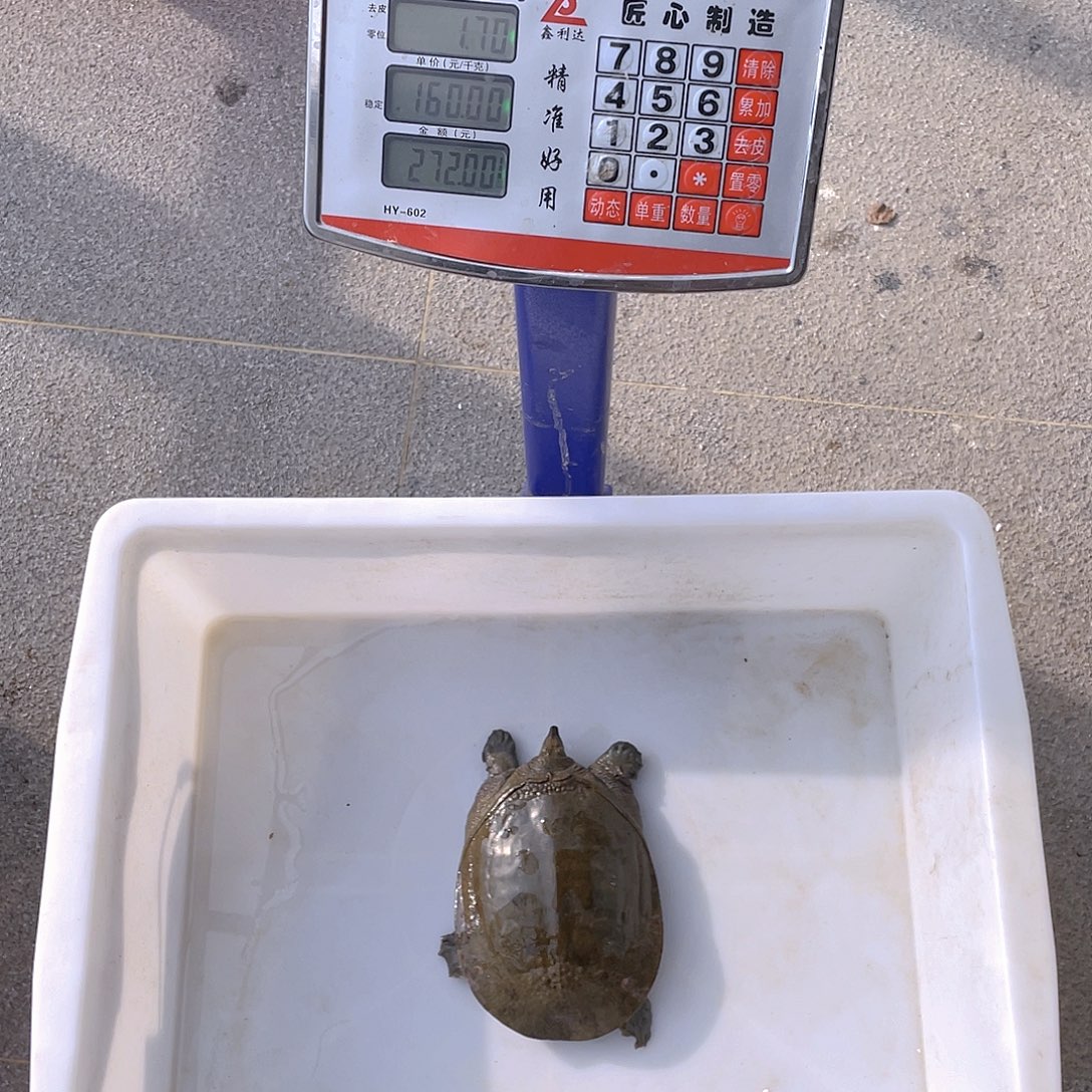 中国大陆47647536755764