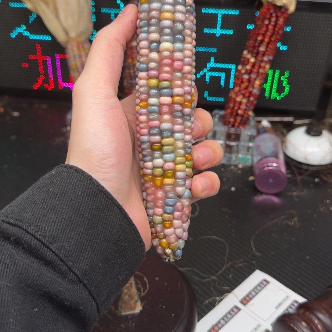 柏香籽/百香籽吊坠?****i