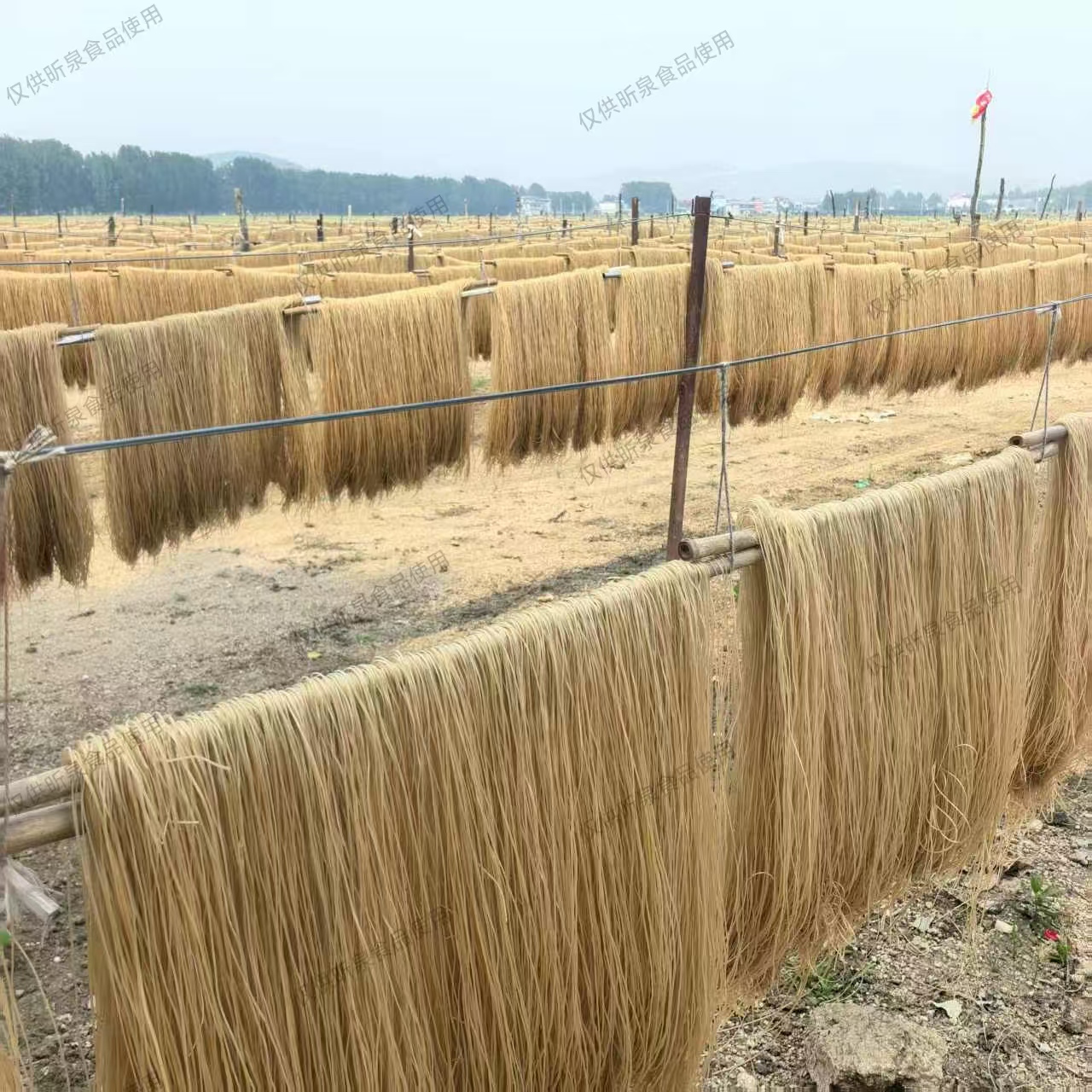 沂蒙山区红薯粉条打芡工艺自然晾晒口感劲道好吃2500g