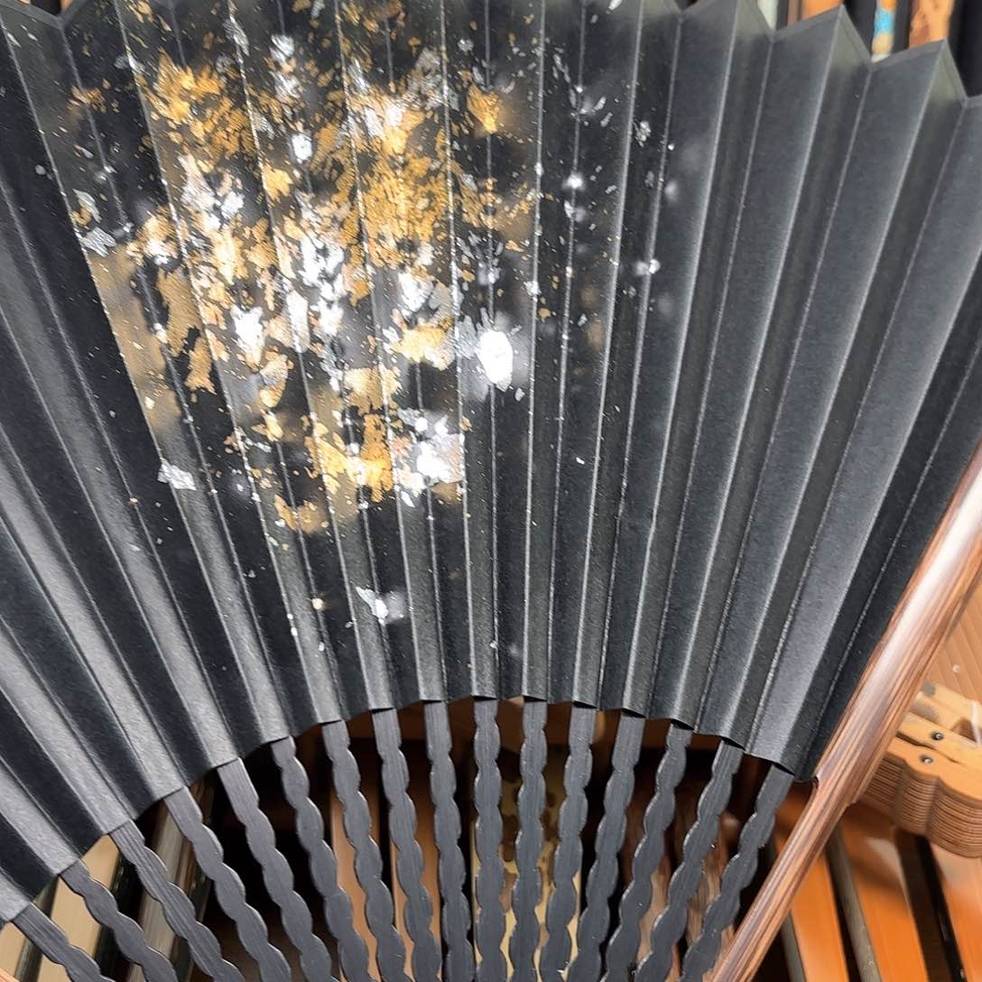 扇子爆炸金龙鳞棕竹