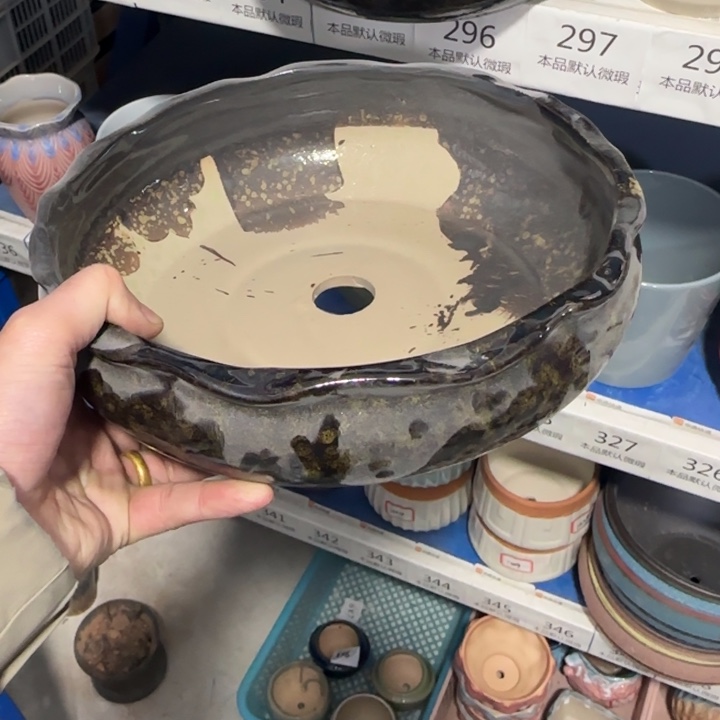 《所有单满15发（花盆）》23×6