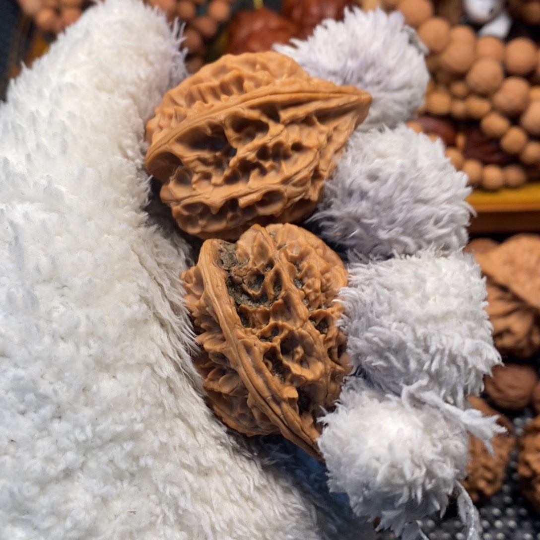 伊***伊秦岭森林茂密和大量