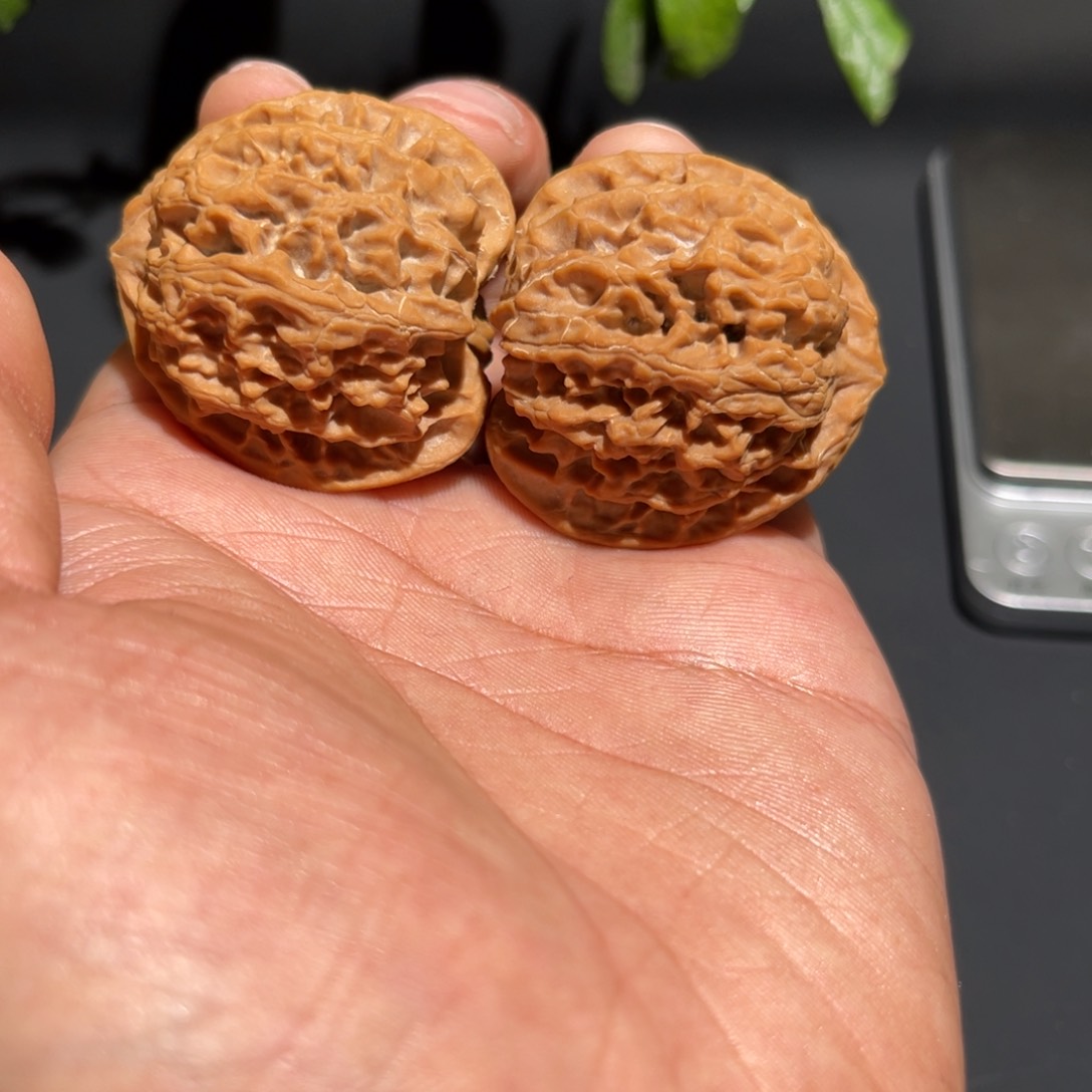 文玩核桃把件山地苹果41