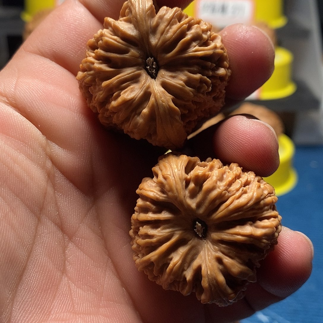 文玩核桃吊坠涿鹿老树南疆石